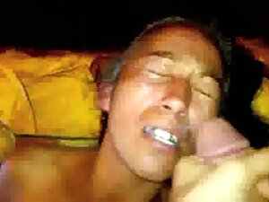 Sin barreras al peta ...